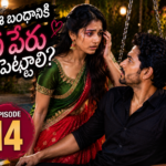 ఈ బంధానికి ఏ పేరు పెట్టాలి? – 14